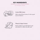 ikoo Don't Apologize Volumizing Conditioner for Fine, Thin or Flat Hair, Effectively Adds Volume, Body & Thickens, Cruelty Free, Vegan, Paraben Free, Silicone Free - 33.8 Fl Oz ikoo
