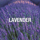 Curve Wave For Men, Cologne Spray with Casual Cool Day or Night Scent, 4.2 oz Curve