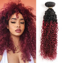 Ombre Burgundy Brazilian Curly Hair 1 Bundle, 100% Unprocessed Human Hair Bundle Deals Black to Dark Red Kinky Curly Hair Extensions 1B 99J Ombre Hair (24") ALISFEEL