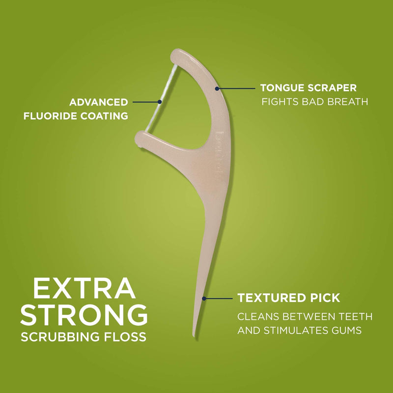 DenTek Earth Friendly Plant-Based Floss Picks, 60 Count DenTek