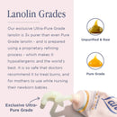 Lanolips Tinted Balm Perfect Nude - Tinted Lanolin Lip Balm with Glossy Nude Sheen - Moisturizing Lip Care (12.5g / 0.44oz) Lanolips