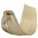 GOO GOO Human Hair Extensions Clip in Natural Ombre Ash Blonde to Golden Blonde and Platinum Blonde Remy Clip in Hair Extensions Straight Long 20 Inch 120g GOO GOO