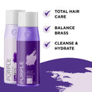 Purple Shampoo and Conditioner for Blonde Hair - Sulfate Free Purple Shampoo for Brassy Hair and Color Conditioner Hair Toner for Brassiness - Blonde Shampoo for Color Treated Hair with Argan Oil Maple Holistics Store