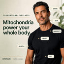 Urolithin A Supplement - 1250mg 10-in-1 Liposomal Complex - NAD+, Nicotinamide Riboside & Resveratrol Mitochondrial, Cellular Energy & Longevity Support, Healthy Aging & Muscle Recovery - 60 Veg Caps Infinity Warehouse