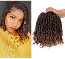 8 Packs Passion Twist Crochet Hair 10 inch Short Bohemian Braids Synthetic Hair Extensions (10Inch,T30) LEONYERI Store