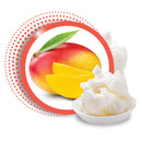 Broadway Vita-Lip Clear Lip Gloss 0.47oz/14ml (3PCS - Mango Butter) Broadway