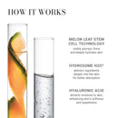 Meaningful Beauty Youth Activating Melon Serum Infinity Warehouse