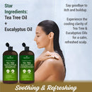 Tea Tree & Eucalyptus Shampoo and Conditioner Set – Clarifying & Scalp Care Formula with Activated Charcoal, Biotin & Keratin – Sulfate-Free, Made in USA - 16 fl oz x 2 Infinity Warehouse