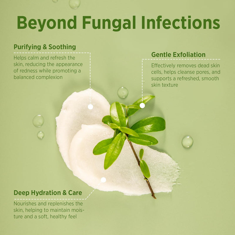 Roycederm Tea Tree Body Care Duo – Deep Cleansing & Antifungal Protection Infinity Warehouse