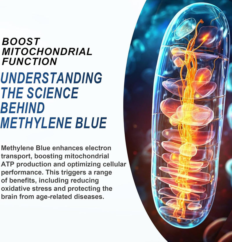 Methylene Blue Pharmaceutical Grade 4.06 fl oz (120 mL), 99% Purity Supplement for Humans, Formaldehyde-Free, Alcohol-Free, Glass Bottle Infinity Warehouse