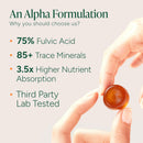ROOT LABS 10-in-1 Alpha Shilajit Gummies | 4000 mg Pure Himalayan Shilajit with Tongkat Ali & Maca Root | for Men & Women | ShilAbsorb Bioavailability Tech | Sugar-Free, Vegan | 120 Gummies Infinity Warehouse