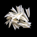 Vivace Natural Stiletto 500 Acrylic Fake False Nail Tips 10 Sizes For Nail Salon Nail Shop (Natural Stiletto) Vivace