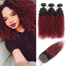 Ombre Burgundy Brazilian Curly Hair 3 Bundles with Closure, Dark Red Two Tone Curly Weave Human Hair Extensions, 99j Afro Kinki Curl Hair Weaving (20"22"24"+Closure18") ALISFEEL