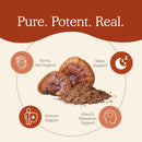 Real Mushrooms Reishi Mushroom Powder - Handpicked Organic Mushroom Extracts - Red Reishi for Tranquil Daily Wellness with Verified Beta Glucans Vegan, Non-GMO, No Grain Fillers, 45 Servings Infinity Warehouse
