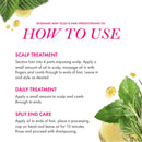 Mielle Organics Rosemary Mint Scalp & Hair Strengthening Oil for All Hair Types, 2 Ounce Infinity Warehouse