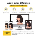 ENTRANCED STYLES Dark Brown Wig with Bangs Short Bob Wig Shoulder Length Womens Wig Pastel Brown Realistic Wigs for Women Heat Resistant Synthetic Wig Daily Use 12” ENTRANCED STYLES Store