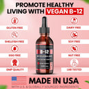 VITBOOST Vitamin B12 Liquid Drops - 60 x 5000 mcg Vegan B12 Sublingual Infinity Warehouse