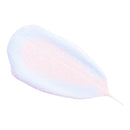 Cruelty-Free Illuminating Makeup Base Primer for Face: Elizabeth Mott Thank Me Later Face Primer - Pore Minimizer, Shine Control Make Up Primer to Hide Wrinkles and Fine Lines (30g) Elizabeth Mott