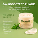 Roycederm Tea Tree Body Care Duo – Deep Cleansing & Antifungal Protection Infinity Warehouse