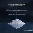 Renue By Science NMN Powder | 100g Fast Dissolve Powder Supplement | 500mg Nicotinamide Mononucleotide per Serving | Manufactured in the USA Third-Party Tested Infinity Warehouse