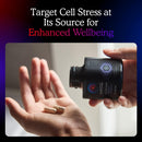 MitoQ +Balance | Sensoril Ashwagandha, Rhodiola & Maritime | Support Balanced Cortisol Levels, Stress Management, Restorative Sleep & Cell Health (60 Capsules) Infinity Warehouse