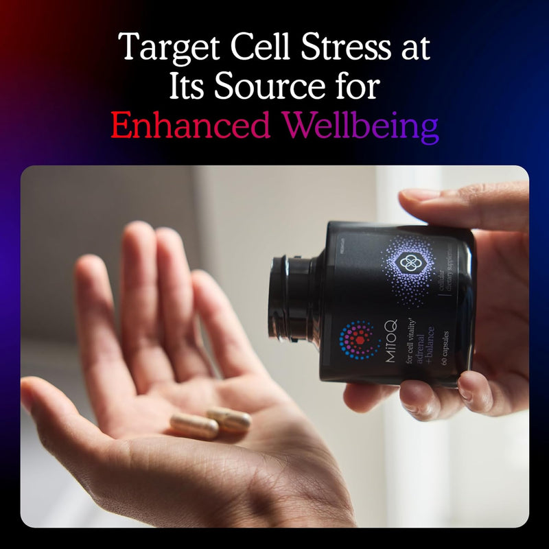 MitoQ +Balance | Sensoril Ashwagandha, Rhodiola & Maritime | Support Balanced Cortisol Levels, Stress Management, Restorative Sleep & Cell Health (60 Capsules) Infinity Warehouse