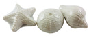 Nautical Sea Shell Soap Set One Dozen Novelty Beach Seashell Shapes in White, Pack of 12 Westman Works