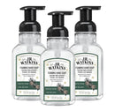J.R. Watkins Foaming Hand Soap Pump with Dispenser, Moisturizing Hand Soap Foam, Alcohol-Free, Cruelty-Free, , Use for Kitchen or Bathroom, Eucalyptus, 9 fl oz,3 Pack Infinity Warehouse