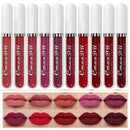 evpct 10Pcs Waterproof Liquid Matte Matt Lipsticks Set Matt Liquid,CmaaDU Dark Red 24 Hour Long Lasting Matte Lipstick Lip Stain Gloss Makeup Sets for Women Lippies labiales matte larga duracion 24 15 evpct