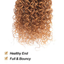 Feelgrace Hair Jerry Curl Ombre Blonde Brazilian Virgin Kinky Curly Human Hair Weave Bundles 1 Piece T1B/30 Color 16 inch Bundle Feelgrace