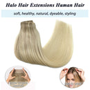 GOO GOO Hair Extensions Halo Hair, Ombre Ash Blonde to Golden Blonde Mixed Platinum Blonde 80g 16 Inch Hairpiece Remy Human Hair Extensions Hidden Crown Wire Hair Extensions with Fish Line Straight GOO GOO Store
