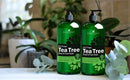 Handcraft Tea Tree Oil Body Wash and Foot Wash – HUGE 16 OZ - Extra Strength Professional Grade – Helps Soothe Athlete Foot, Body Itch, Jock Itch and Eczema - Packaging May Vary Handcraft Blends Store