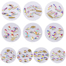 AD Beads 2300 Pcs Top Quality Flatback Rhinestone Around assortment size Plus 100 total in 10 different shapes AD Beads