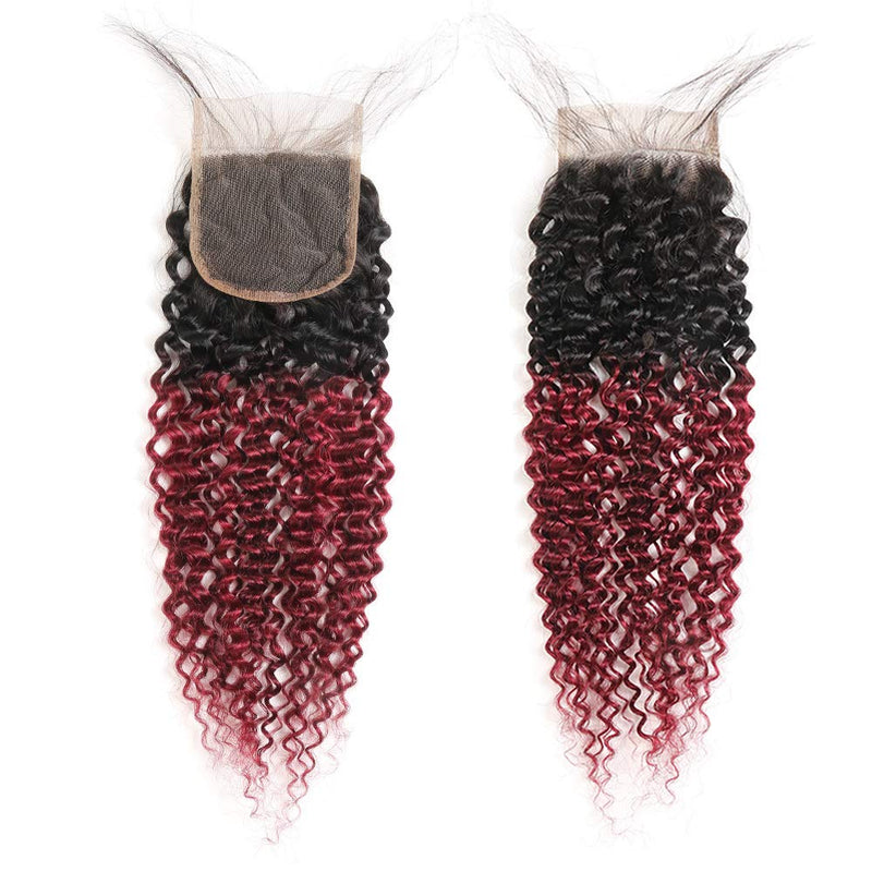 Ombre Burgundy Brazilian Curly Hair 3 Bundles with Closure, Dark Red Two Tone Curly Weave Human Hair Extensions, 99j Afro Kinki Curl Hair Weaving (20"22"24"+Closure18") ALISFEEL