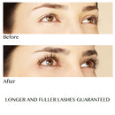 Natural Lash Growth Serum - USA Made Eyebrow Growth Enhancer - Eyelash Booster to Grow Longer Eyelashes - Lash Boost & Brow Enhancing Serum Northern Crown Cosmetics