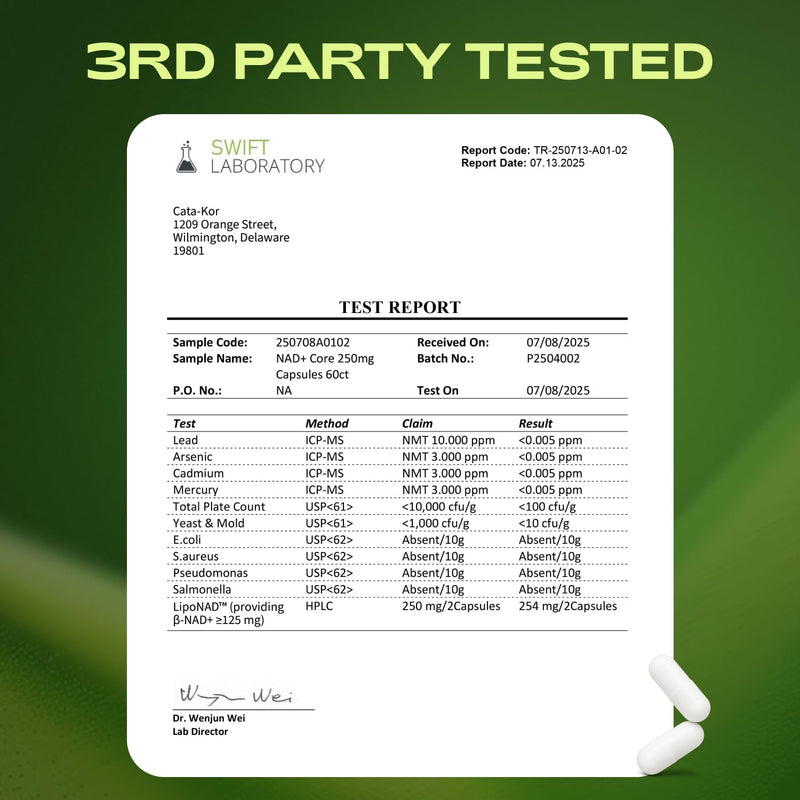 NMNH Supplement Alternative - Liposomal NAD CORE 250mg - 30-Day Supply - High Purity NAD Supplement for Healthy Aging, Energy - 60 Capsules Infinity Warehouse