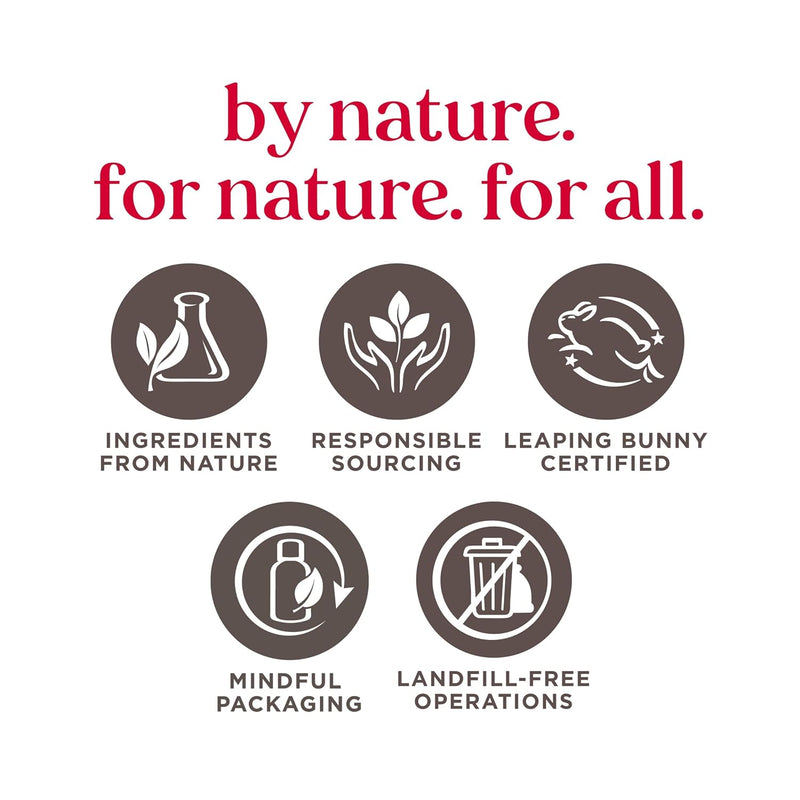 Burt's Bees Shimmer Lip Tint Valentines Day Gifts, Tinted Lip Balm Stick, Moisturizing for All Day Hydration with Natural Glowy Pigmented Finish & Buildable Color, Champagne (4-Pack) Infinity Warehouse