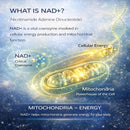NMN + L-Glutathione Supplement – NAD+ Support, Mitochondrial Energy & Antioxidant Defense with CoQ10, NAC, PQQ & Alpha Lipoic Acid – 120 Capsules. Refill Pack Infinity Warehouse