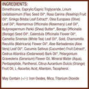 Mineral Fusion Illuminating Primer With Shimmering Gold Flecks By Mineral Fusion, 1 oz Mineral Fusion