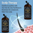 Batana Oil Shampoo and Conditioner - Fights Hair Loss, Promotes Hair Growth, Fights Dandruff, Lice & Itchy Scalp - for Men and Women Sulfate Free - 16 fl oz x 2 Infinity Warehouse