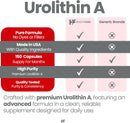 Healthfare Urolithin A | 150 Vegan Capsules | Non-GMO, Gluten-Free | Made in USA Infinity Warehouse