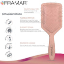 Framar Detangler Brush, Paddle Brush – Elegant Detangling Brush, No more Tangles Hair Brush – Hair Brushes for women, men and children (Champagne) FRAMAR Store