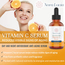 Vitamin C Serum For Face Aloe Vera & Fruit Extracts Acne Spot Treatment Sun Spot Corrector For Face Under Eye Treatment Toner For Face Compare With Under Eye Cream Anti Aging Serum 2 oz Nova Lucia