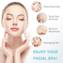 Electric Facial Cleansing Brush 7 in 1 - Fabuday Face Skin Spin Brush for Deep Cleansing, Gentle Exfoliating, Blackhead Removing and Massaging, Battery Operated Facial Cleanser Brush Fabuday