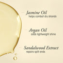 Oribe High Shine Bundle ORIBE