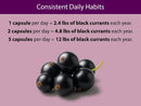 Organic Black Currant Capsules, Freeze-Dried: 60 Capsules Infinity Warehouse
