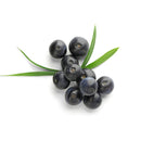 FOREO UFO Activated Mask Treatment for Anti-Aging, Acai Berry Beauty Coquette