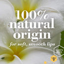 Lip Balm, Burt's Bees Moisturizing Lip Care Valentine's Gift for Men & Women, 100% Natural, Original Beeswax, Cucumber Mint, Coconut & Pear, Vanilla Bean with Beeswax & Fruit Extracts (4 Pack) Burt's Bees