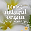 Lip Balm, Burt's Bees Moisturizing Lip Care Valentine's Gift for Men & Women, 100% Natural, Original Beeswax, Cucumber Mint, Coconut & Pear, Vanilla Bean with Beeswax & Fruit Extracts (4 Pack) Burt's Bees