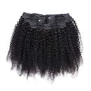 LONG YAO Afro Kinky Curly Clip in Hair Extensions Human Hair For Black Women 8A Brazilian Real Remy Hair Kinky Curly Human Hair Clip ins (16 Inch, Arfo Kinky Curly Clip in Hair Extensions) LONG YAO